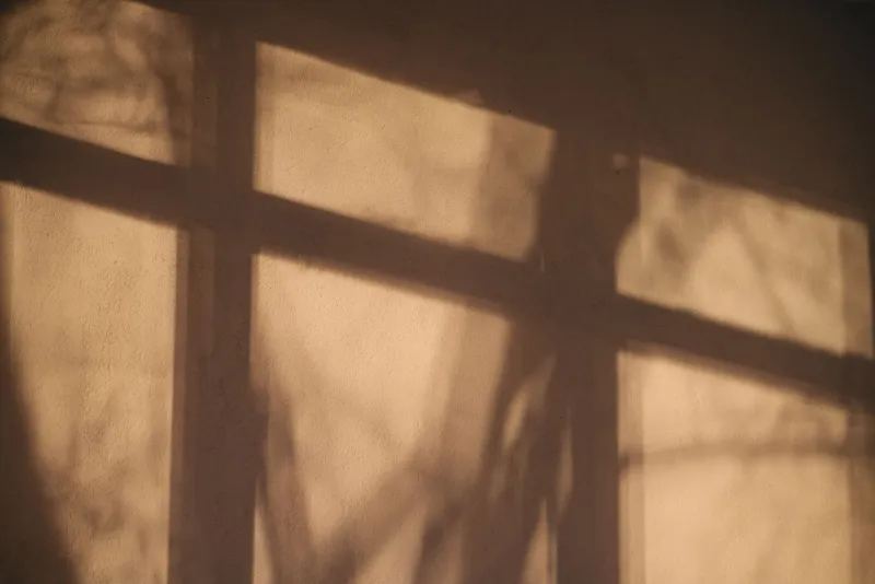 Less Is More: The Quiet Power of Suggestion in Japanese Adult Cinema